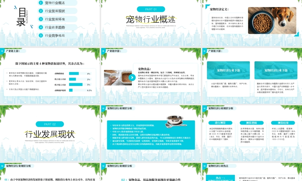 宠物经济行业前景分析报告行业前景趋势.pptx