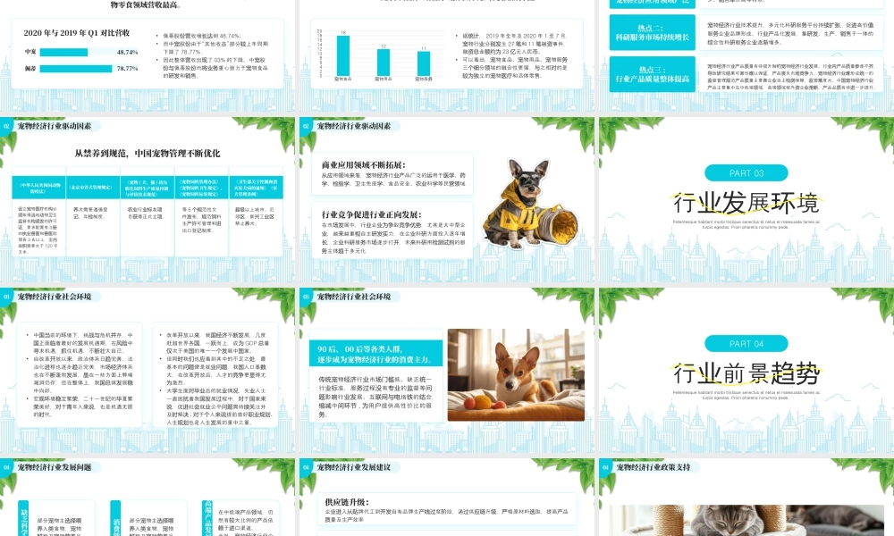 宠物经济行业前景分析报告行业前景趋势.pptx
