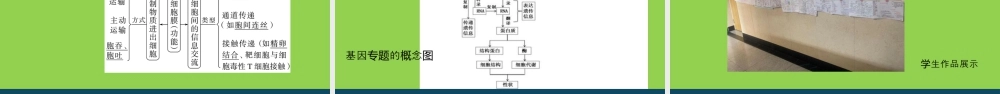 2026年高考生物二轮复习备考策略.pptx