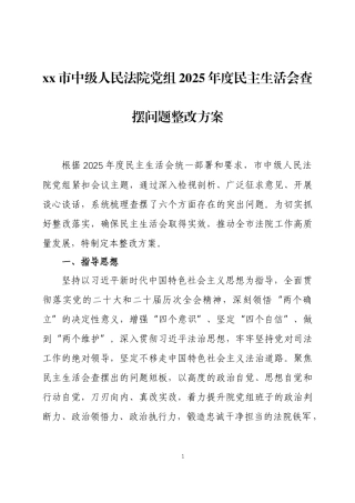 2025年度民主生活会查摆问题整改方案两篇.docx