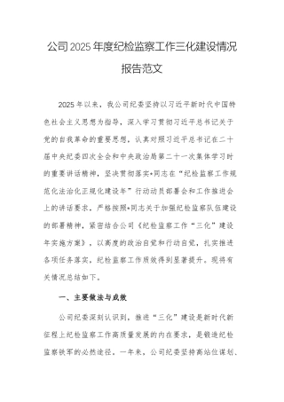 公司2025年度纪检监察工作三化建设情况报告范文.docx