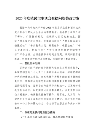 2025年度镇民主生活会查摆问题整改方案.docx