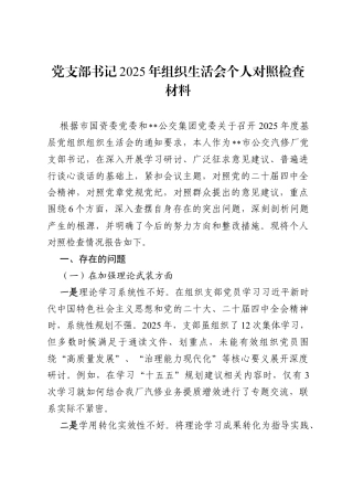 党支部书记2025年组织生活会个人对照检查材料.docx