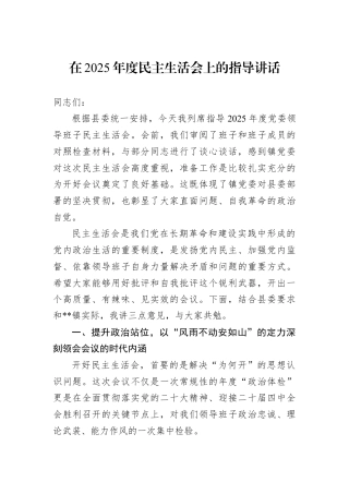 在2025年度民主生活会上的指导讲话.docx