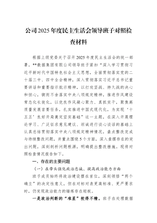 公司2025年度民主生活会领导班子对照检查材料.docx