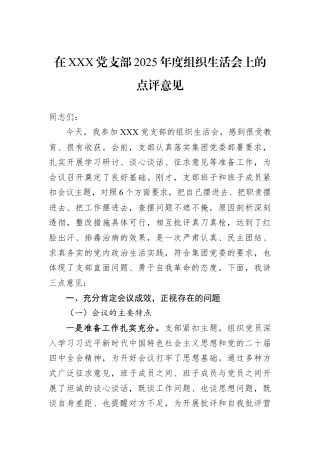 在XXX党支部2025年度组织生活会上的点评意见.docx