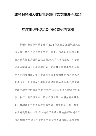 政务服务和大数据管理部门党支部班子2025年度组织生活会对照检查材料文稿.docx