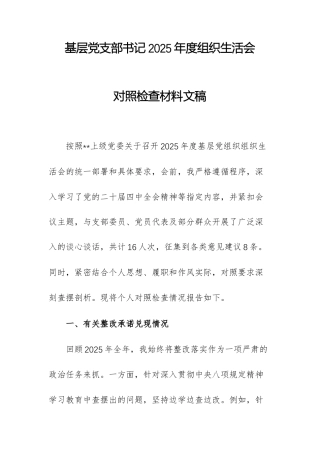 基层党支部书记2025年度组织生活会对照检查材料文稿.docx