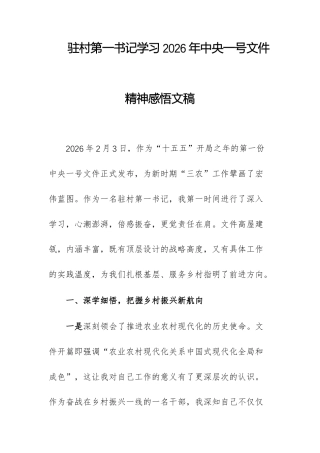 驻村第一书记学习2026年中央一号文件精神感悟文稿.docx