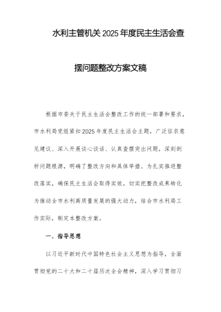水利主管机关2025年度民主生活会查摆问题整改方案文稿.docx