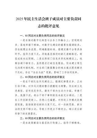 2025年民主生活会班子成员对主要负责同志的批评意见.docx