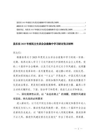 （汇编）党委班子成员在2025年度民主生活会会前集中学习研讨发言材料.docx