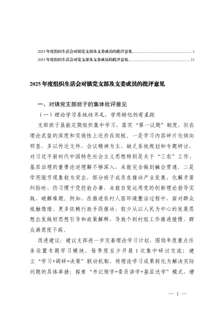 2篇 2025年度组织生活会对党支部及支委成员的批评意见.docx
