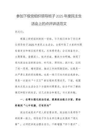 参加下级党组织领导班子2025年度民主生活会上的点评讲话范文.docx