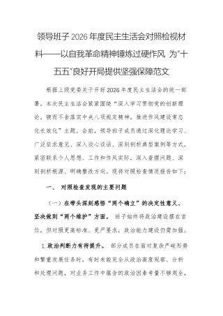 领导班子2026年度民主生活会对照检视材料——以自我革命精神锤炼过硬作风 为“十五五”良好开始提供坚强保障范文.docx