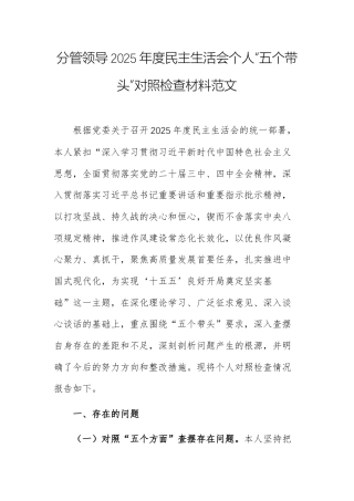 分管领导2025年度民主生活会个人“五个带头”对照检查材料范文.docx