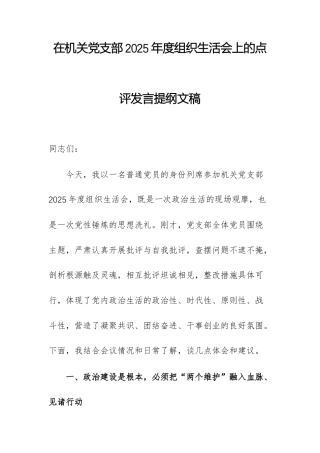在机关党支部2025年度组织生活会上的点评发言提纲文稿.docx