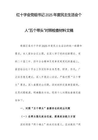 红十字会党组书记2025年度民主生活会个人“五个带头”对照检查材料文稿.docx
