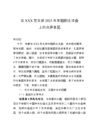 党支部2025年度组织生活会上的点评意见.docx