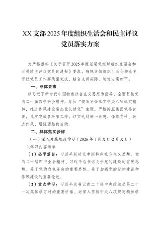 支部2025年度组织生活会和民主评议党员落实方案.docx
