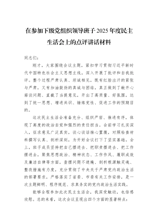 在参加下级党组织领导班子2025年度民主生活会上的点评讲话材料.docx