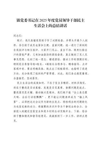 镇党委书记在2025年度党员领导干部民主生活会上的总结讲话.docx