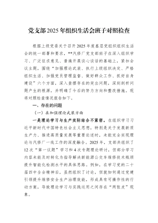 党支部2025年组织生活会班子对照检查.docx