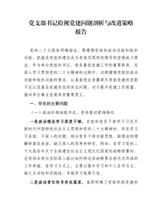 党支部书记检视党建问题剖析与改进策略报告.docx