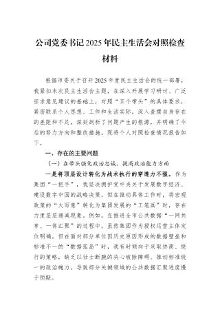 公司党委书记2025年民主生活会对照检查材料.docx