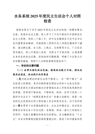 水务系统2025年度民主生活会个人对照检查.docx