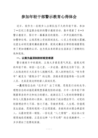 参加年轻干部警示教育心得体会.docx