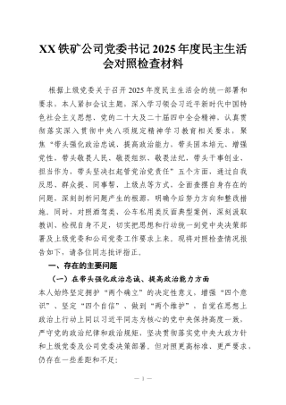XX铁矿公司党委书记2025年度民主生活会对照检查材料.docx