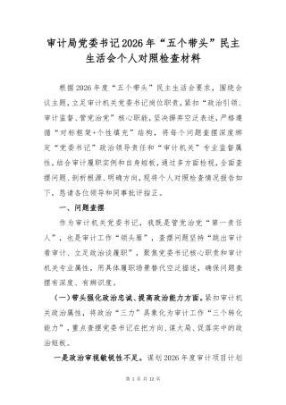 审计党委书记2026年“五个带头”民主生活会个人对照检查材料.doc
