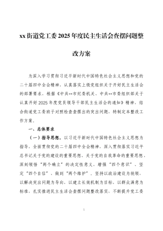 2025 年度民主生活会查摆问题整改方案两篇.docx