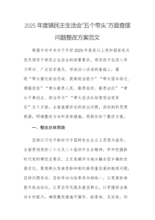 2025年度镇民主生活会“五个带头”方面查摆问题整改方案范文.docx