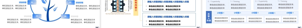 硕士毕业论文答辩-厦门大学-电解水制氢课题.pptx