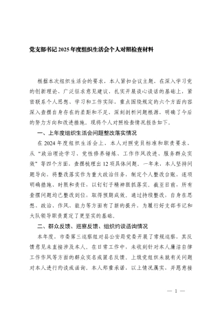在加强理论武装方面；在执行上级组织决定方面在严格组织生活等六个方面+反面典型案例剖析情况 党支部书记2025年度组织生活会个人对照检查材料.docx