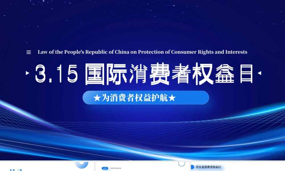 315国际消费者权益日为消费者权益护航.pptx