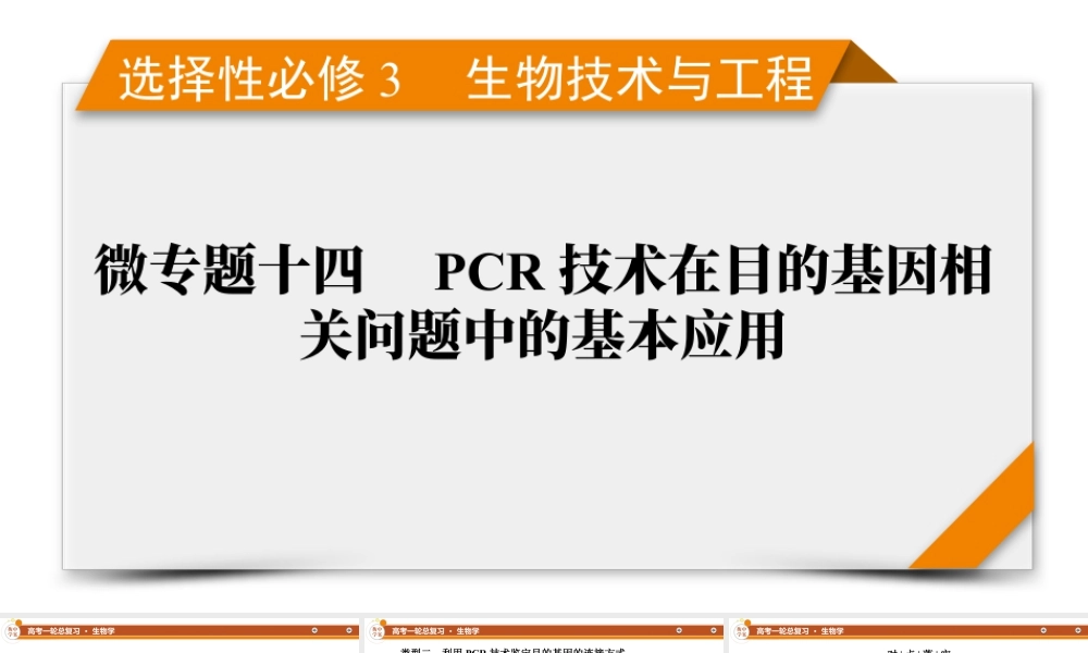 选择性必修3　微专题14　PCR技术在目的基因相关问题中的基本应用.pptx