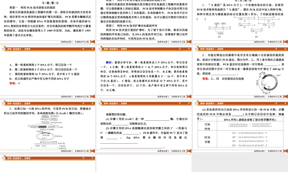 选择性必修3　微专题14　PCR技术在目的基因相关问题中的基本应用.pptx