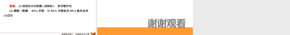 选择性必修3　微专题14　PCR技术在目的基因相关问题中的基本应用.pptx