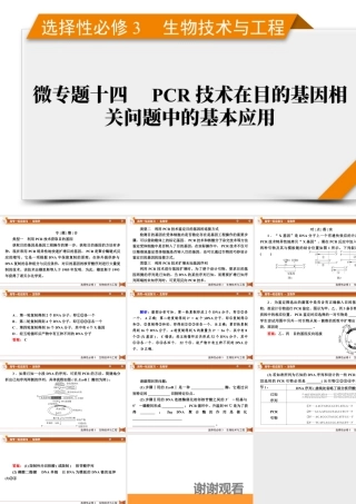 选择性必修3　微专题14　PCR技术在目的基因相关问题中的基本应用.pptx