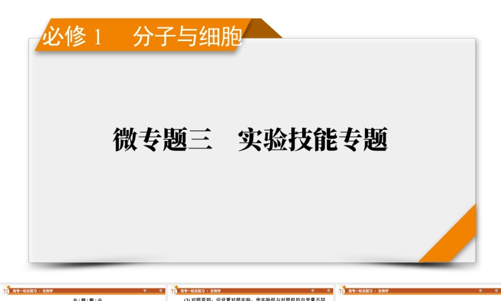 生物必修1　微专题3　实验技能专题.pptx