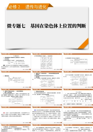 生物必修2　微专题7　基因在染色体上位置的判断.pptx