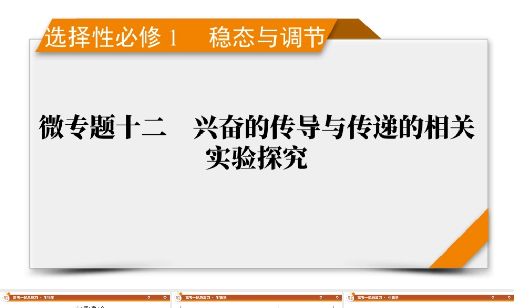 选择性必修1　微专题12　兴奋的传导与传递的相关实验探究.pptx