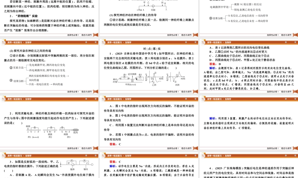 选择性必修1　微专题12　兴奋的传导与传递的相关实验探究.pptx