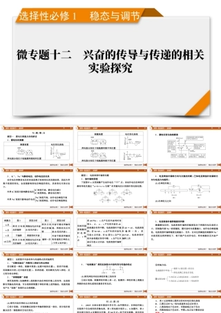 选择性必修1　微专题12　兴奋的传导与传递的相关实验探究.pptx