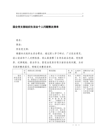 2026年国企党支部组织生活会个人问题整改清单2份.docx