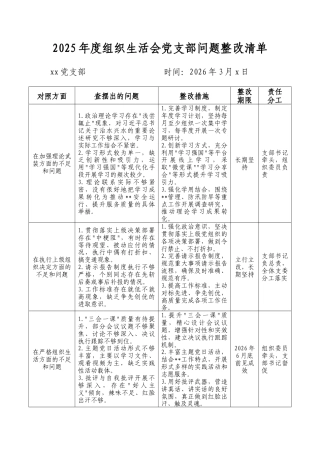 2025年组织生活会党支部及个人查摆问题整改清单三篇.docx