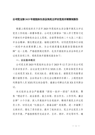 2篇 公司党支部2025年度组织生活会及民主评议党员开展情况报告.docx